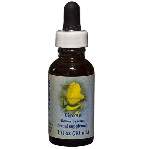 Flower Essence Services, Gorse Dropper, 1 oz