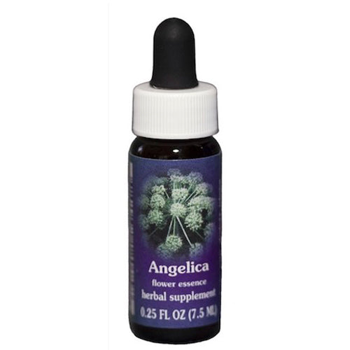 Flower Essence Services, Angelica Dropper, 0.25 oz